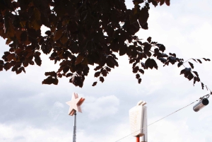 Копенгаген вдали от проторенных путей: Велосипедный тур по Нёрребро