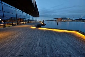 Città vecchia di Copenaghen, Nyhavn, tour a piedi dei canali e Christiana