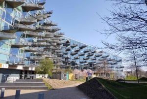 Copenhague: Recorrido a pie por Ørestad y la nueva arquitectura