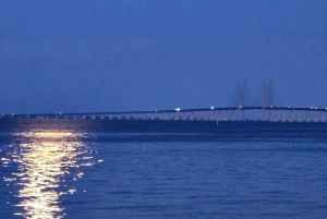 København: privat julebåttur