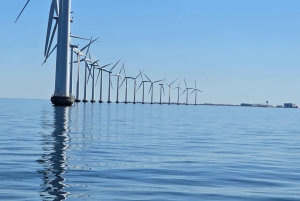 København: privat julebåttur