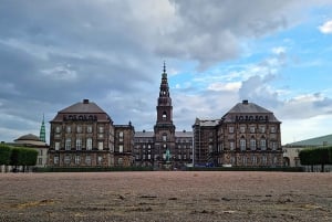 Copenhagen: Private City E-Bike History & Nature Tour