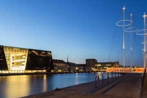 Kopenhagen: Private Stadtführung mit Ticket für eine Kanalrundfahrt