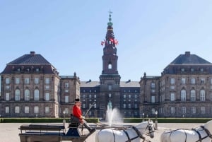 Kopenhagen: Private Stadtführung mit Ticket für eine Kanalrundfahrt