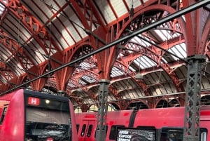 Kopenhagen: Private Stadtführung mit Ticket für eine Kanalrundfahrt