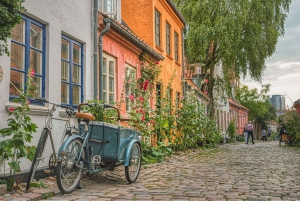 Copenhague: Tour privado de un día por la ciudad