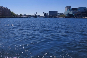 Копенгаген: Частное путешествие под парусом