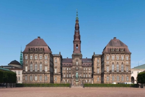 Kopenhagen: Tour door de paleizen Rosenborg en Christiansborg in het Spaans
