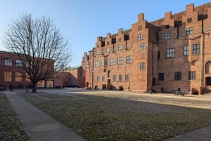 Kopenhaga: Wycieczka z przewodnikiem po Malmo - powrót i widoki na mosty!