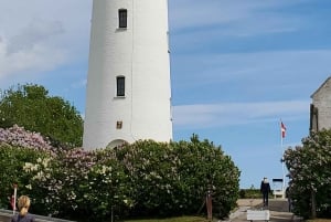 København: Stevns Klint Geologisk Hot Spot UNESCO-tur