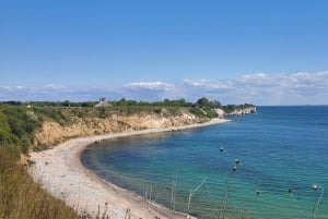 Copenhague: Tour de la UNESCO por el punto geológico de interés Stevns Klint