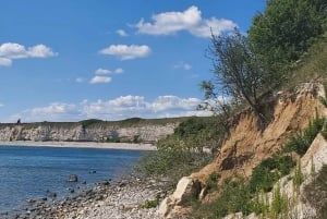 Copenhague: Tour de la UNESCO por el punto geológico de interés Stevns Klint