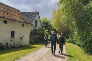 Copenhague: Tour de la UNESCO por el punto geológico de interés Stevns Klint