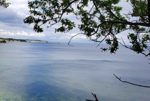 Copenhague: Tour de la UNESCO por el punto geológico de interés Stevns Klint