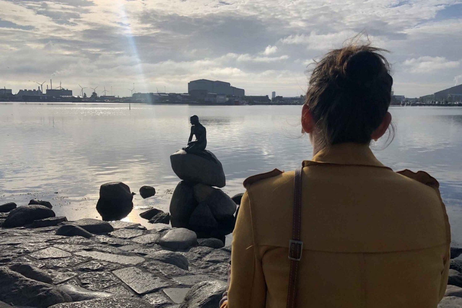 Copenhagen: The Little Mermaid's Story, Self-Guided Tour