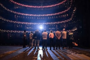 Copenhagen: The Opera House Guided Tour