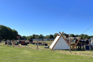 Copenhagen: Tour of Roskilde, the Viking City in English