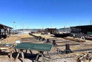 Copenhagen: Tour of Roskilde, the Viking City in English