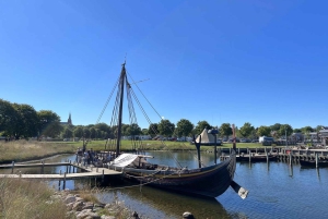 Copenhagen: Tour of Roskilde, the Viking City in English