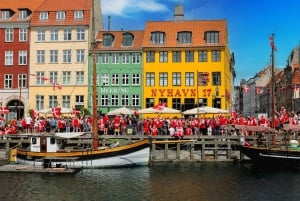 Copenhagen: Tour with Private Guide