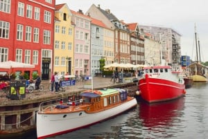 Copenhagen: Tour with Private Guide