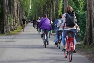 Copenhagen: Vegan/Vegetarian Food Bike Tour with Tastings