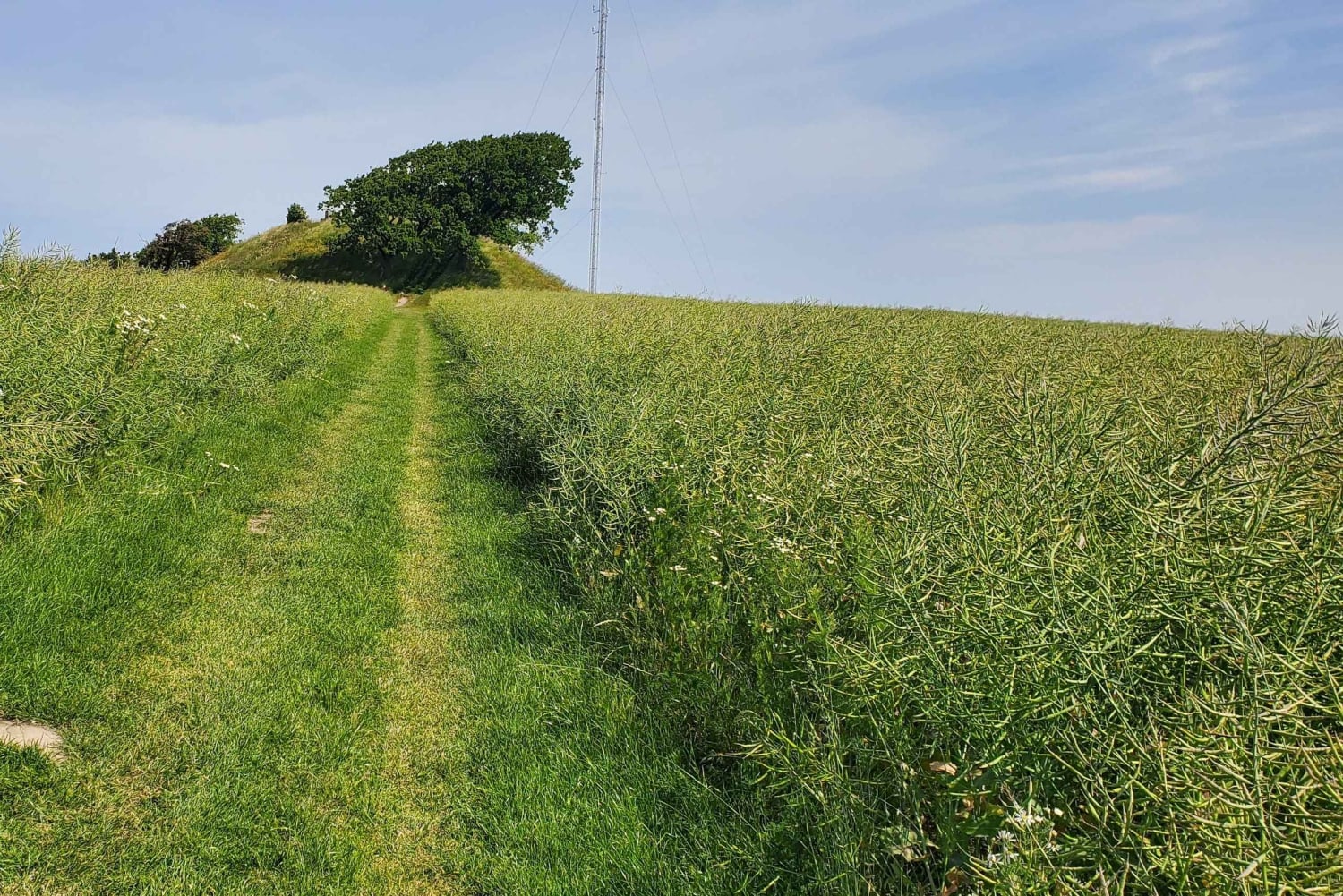 Copenhagen: Vejrhøj Arch Hike with Wine Tasting & Lunch