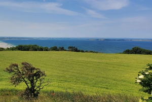 Copenhague: ruta de senderismo al Arco de Vejrhøj con cata de vino y almuerzo
