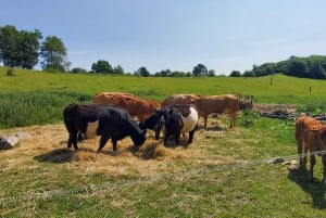 Copenhagen: Vejrhøj Arch Hike with Wine Tasting & Lunch