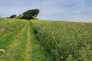 Copenhagen: Vejrhøj Arch Hike with Wine Tasting & Lunch