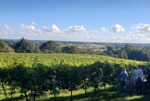 Copenhagen: Vejrhøj Arch Hike with Wine Tasting & Lunch