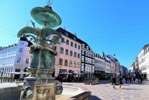 Copenhagen: Public 4-Hour Guided Walking Tour in French