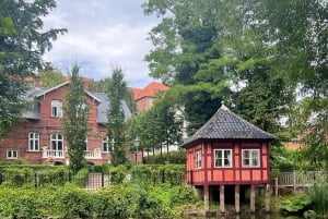 Odense: Guided tour guide in Spanish