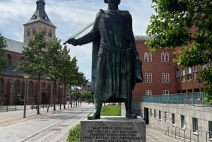 Odense: Guided tour guide in Spanish