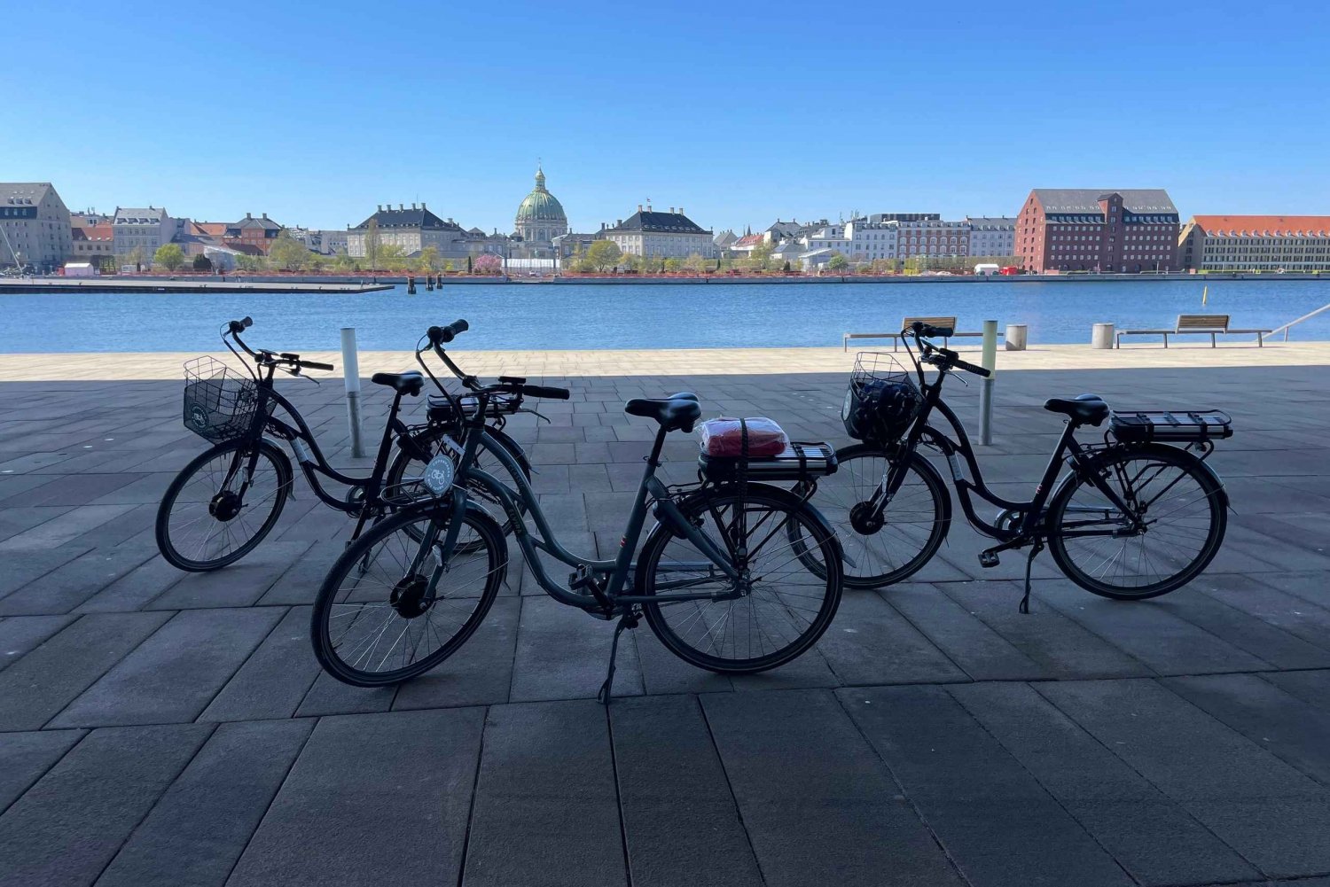 E-Bike Tour: Copenhagen Christmas Adventure