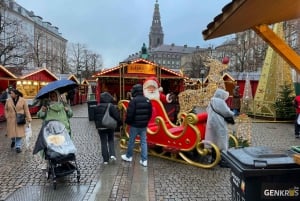 E-Bike Tour: Copenhagen Christmas Adventure
