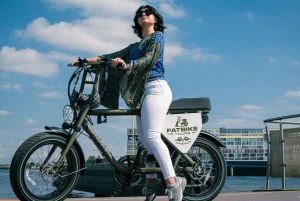 Copenhagen: Guided e-Bike City Tour