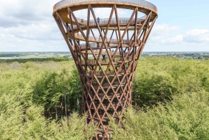 From Copenhagen: Round-Trip to South Zealand's Forest Tower