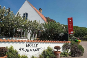 Fra København: Guidet vandretur på Kullen, Sverige m frokost