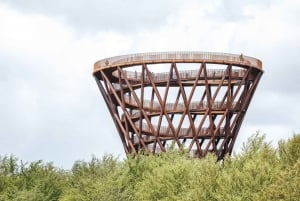 Copenhagen: The Forest Tower & Forgotten Giants Trolls Trip