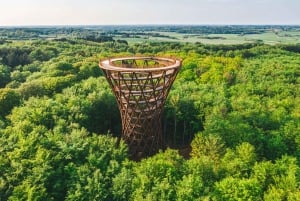 From Copenhagen: Round-Trip to South Zealand's Forest Tower