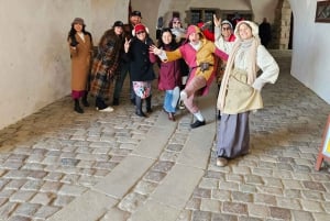 Full-Day Tour; Castle, Palace, Cathedral and Viking Ships