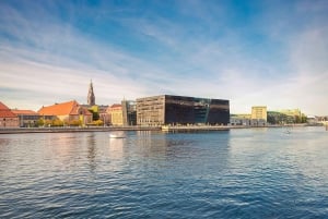 Grand tour à vélo de la vieille ville de Copenhague, des attractions, de la nature