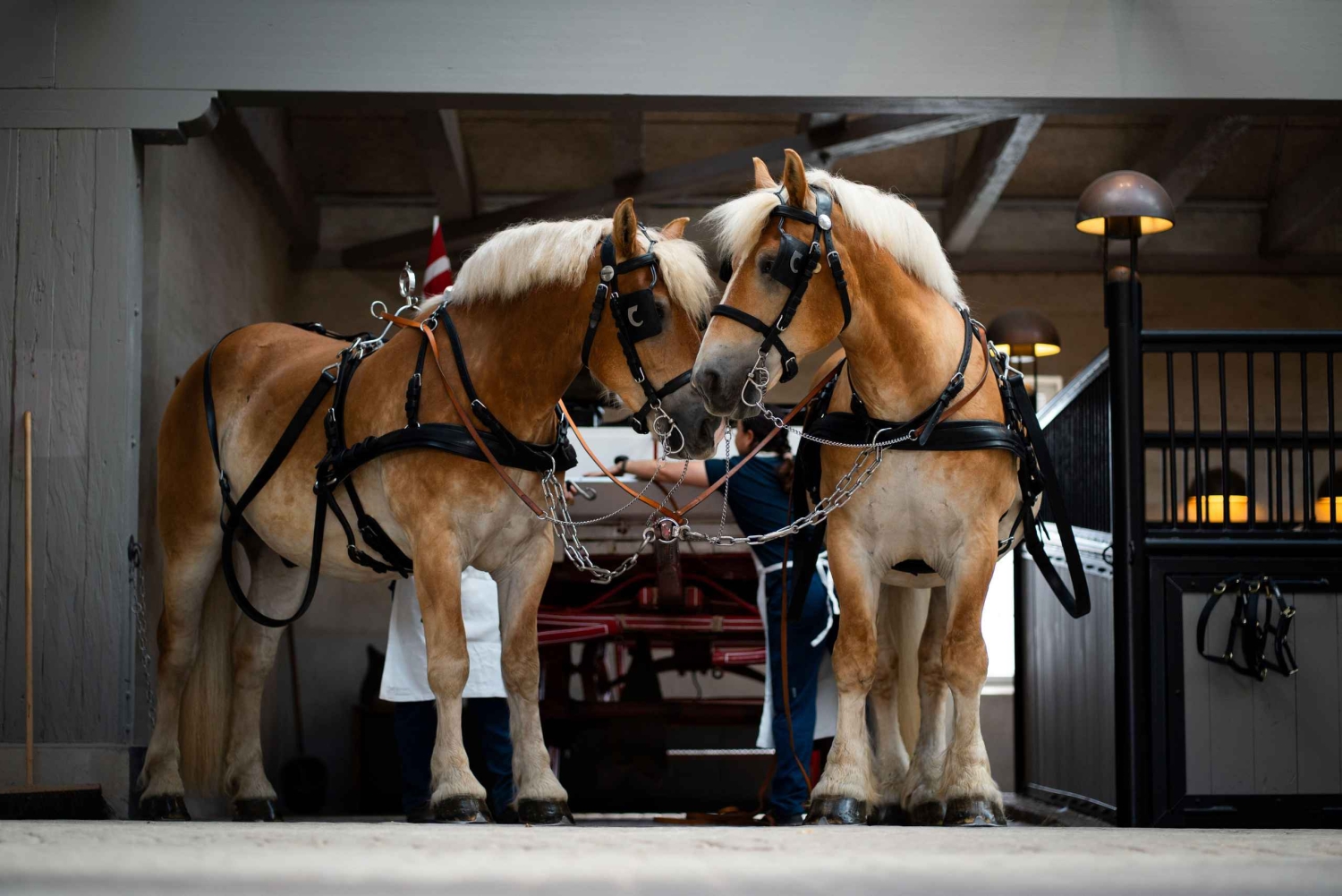Billet d'entrée pour la Maison de Carlsberg + Visite guidée Exploring Carlsberg