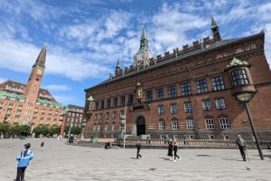 Mop in the heart of Copenhagen - private guided tour in French