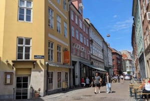 Mop in the heart of Copenhagen - private guided tour in French