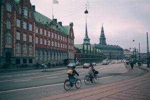 Private 2-hour Copenhaguen Walking Tour