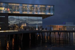 Private Architecture & Design Walking Tour in Copenhagen