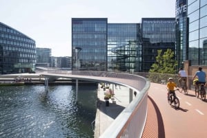 Copenhagen: Private Architecture and Design Walking Tour