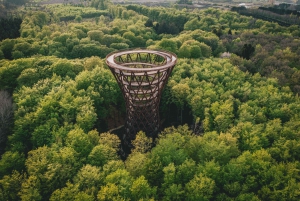 Rønnede: Camp Adventure Forest Tower Entry Ticket